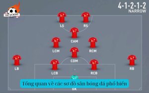 Tổng quan về các sơ đồ sân bóng đá phổ biến