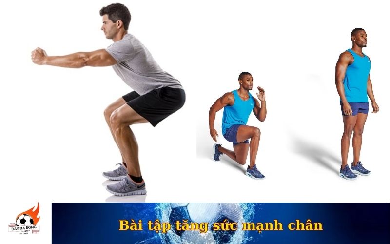 Bài tập tăng sức mạnh chân