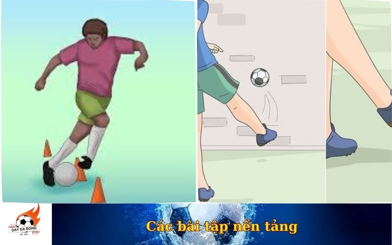 Các bài tập nền tảng