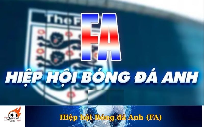 Hiệp hội Bóng đá Anh (FA)