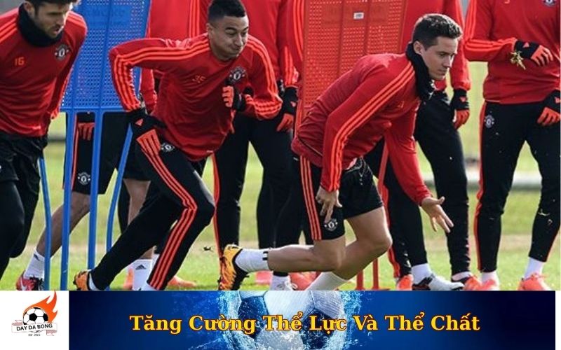 Tăng Cường Thể Lực Và Thể Chất