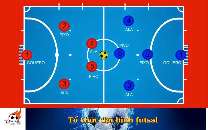 Tổ chức đội hình futsal