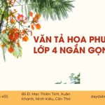 Hướng Dẫn Viết Văn Tả Cây Phượng Lớp 4 Ngắn Gọn Nhất