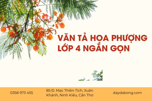 van-ta-cay-phuong