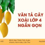 Hướng Dẫn Viết Bài Văn Tả Cây Xoài Lớp 4 Ngắn Gọn Và Hay Nhất