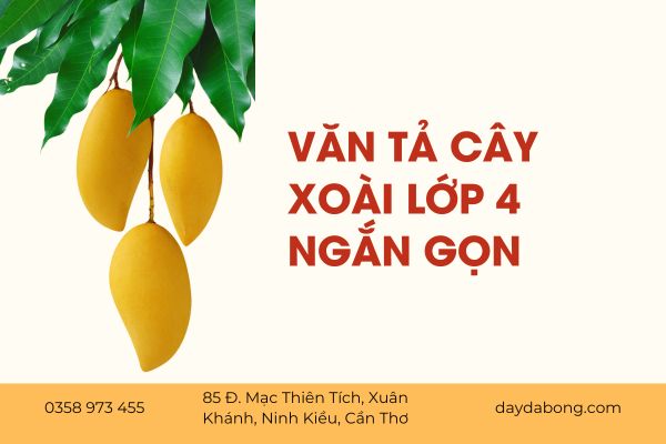 van-ta-cay-xoai