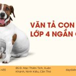 Văn Tả Con Chó Lớp 4 Ngắn Nhất