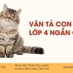 Văn Tả Con Mèo Lớp 4 Ngắn Nhất