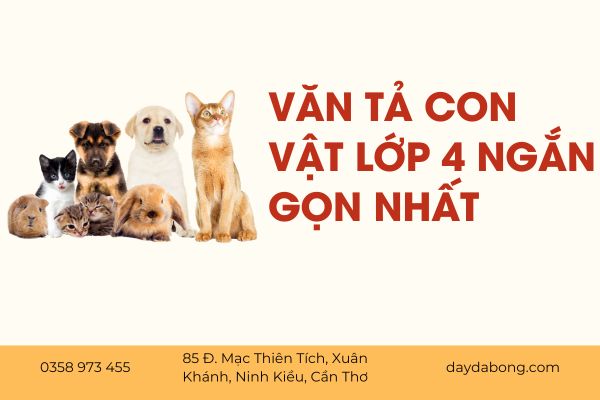 van-ta-con-vat
