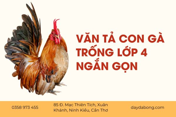 van-ta-ga-trong
