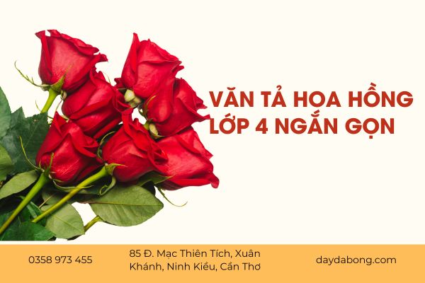 van-ta-hoa-hong